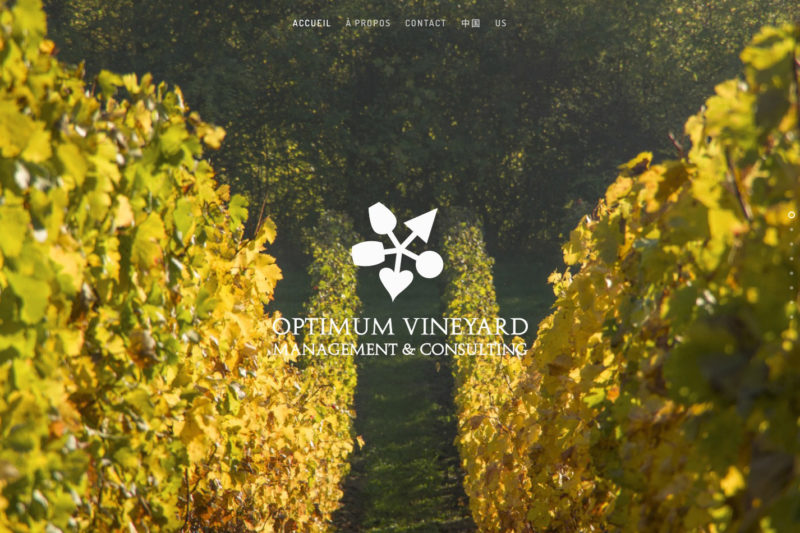 OPTIMUM VINEYARD, conseil & management en domaines viticoles